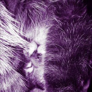 Meet your Posher, Alicia